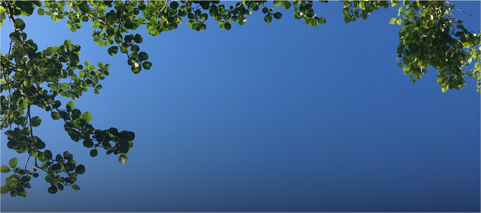 Koulutukset ja luennot seksuaalisuudesta Jyväskylä - Anniina Lassinen